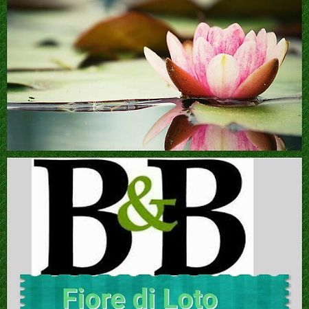 Fiore Di Loto Limatola Ngoại thất bức ảnh